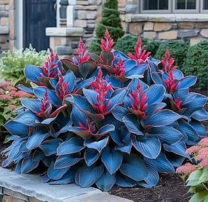 Хоста Грин Фог купить по цене от 669р. в интернет-магазине «Посадика» с доставкой почтой в в Кимовске и по всей России – [изображение №1].